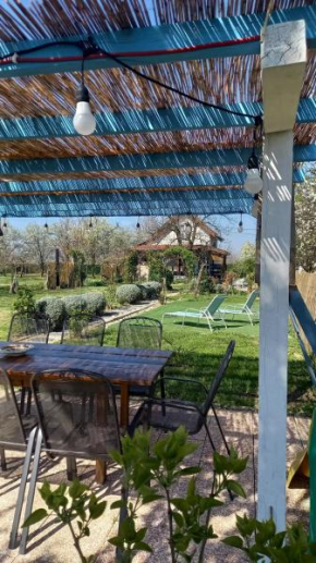 Holiday Home Paunovaca